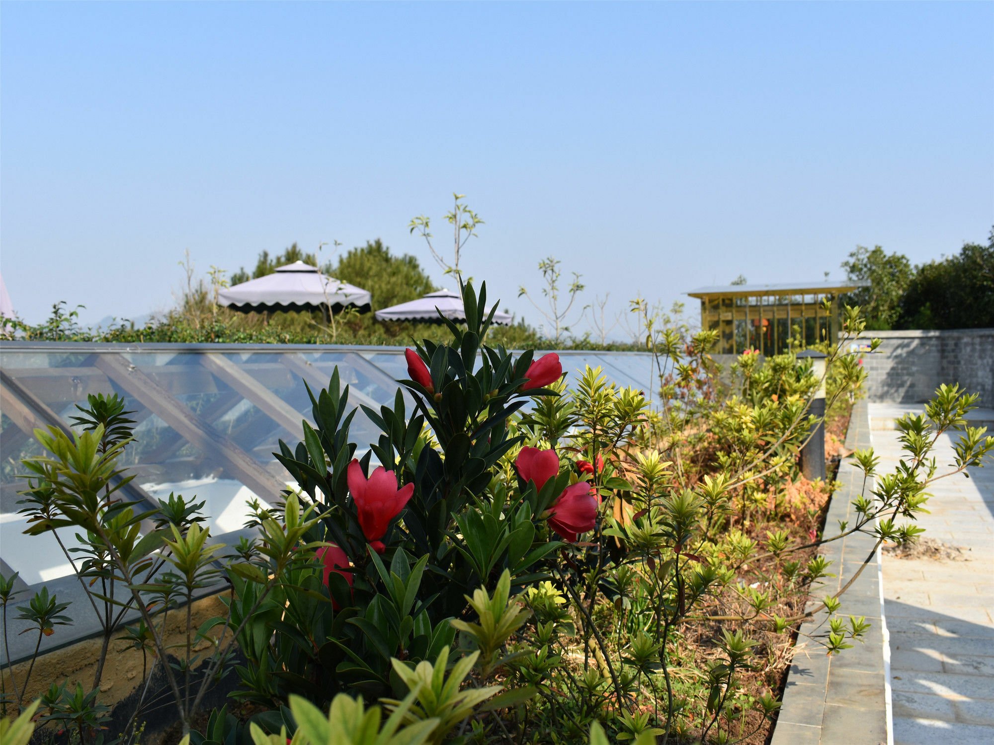 Yangshuo Mountain Top Retreat Екстер'єр фото